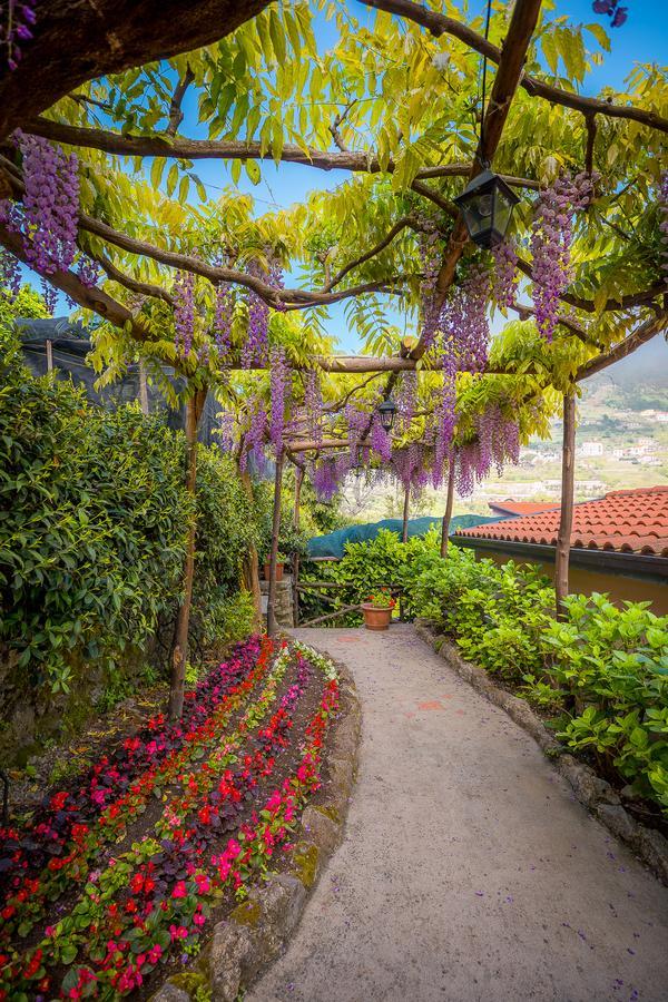 Il Roseto B&B Ravello Exterior photo